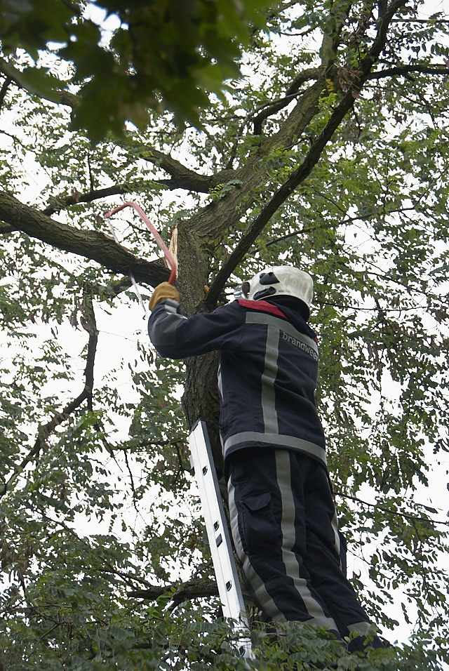 2011/177/GB 20110711 009 Stormschade Einsteinlaan.jpg